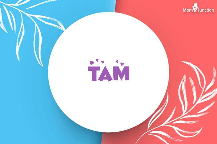 Tam Stylish Wallpaper