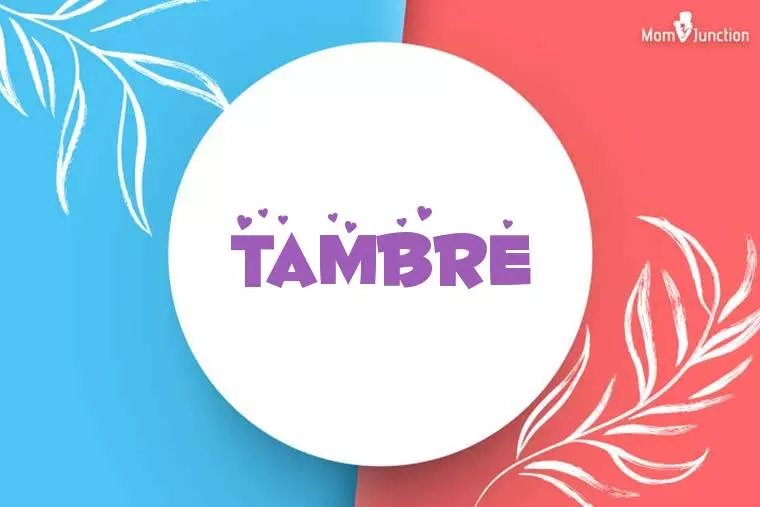 Tambre Stylish Wallpaper