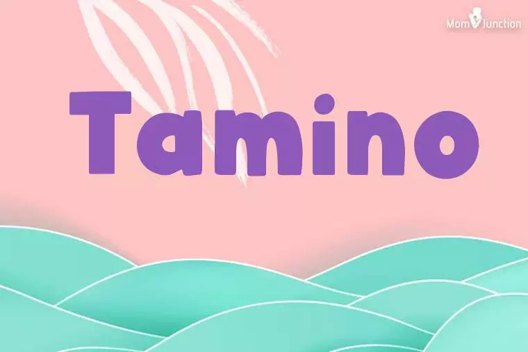 Tamino Stylish Wallpaper