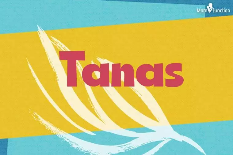 Tanas Stylish Wallpaper