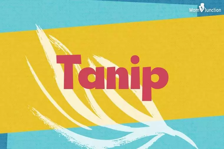 Tanip Stylish Wallpaper