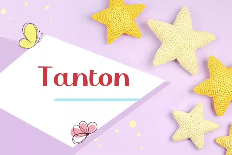 Tanton Stylish Wallpaper