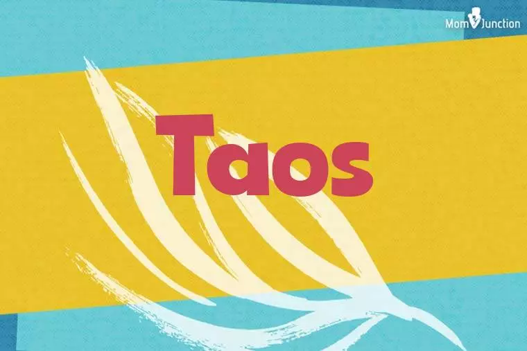 Taos Stylish Wallpaper