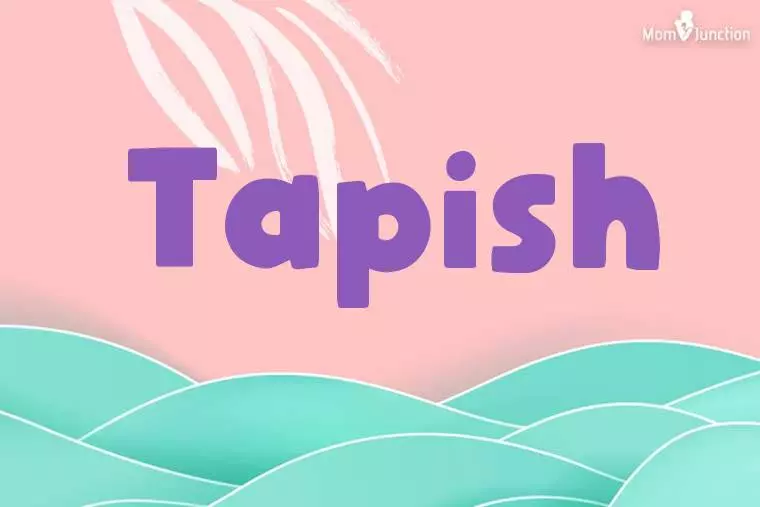 Tapish Stylish Wallpaper