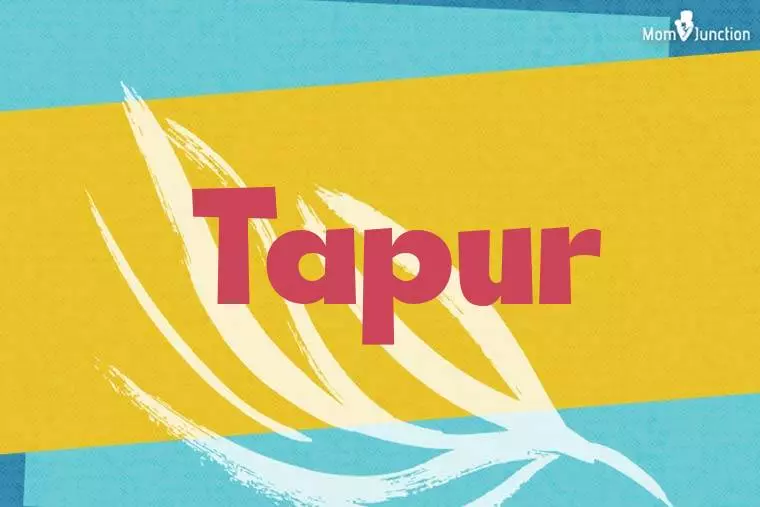 Tapur Stylish Wallpaper