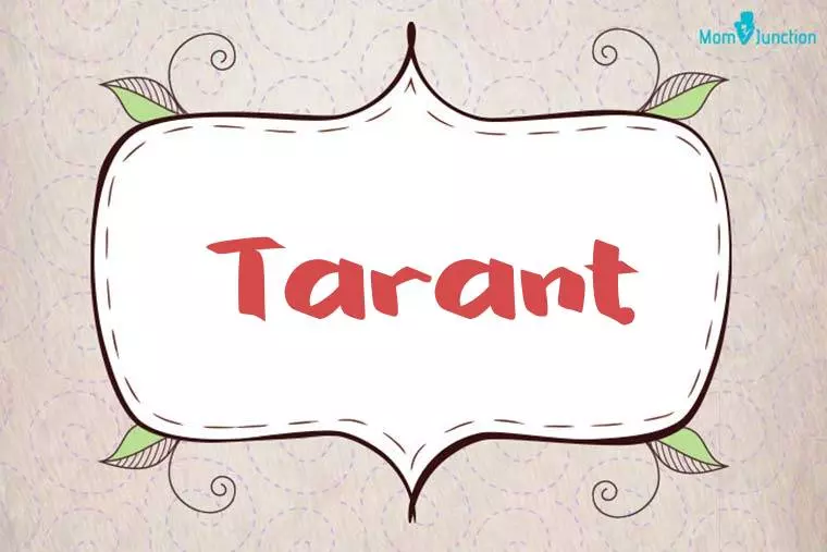 Tarant Stylish Wallpaper