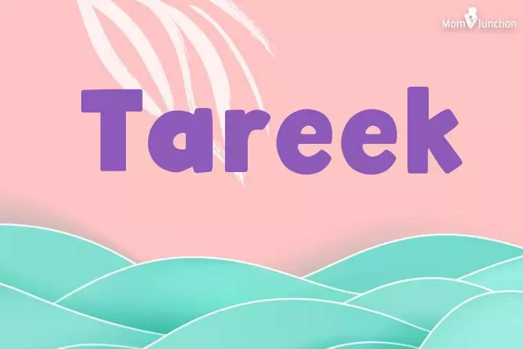 Tareek Stylish Wallpaper