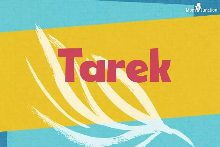 Tarek Stylish Wallpaper