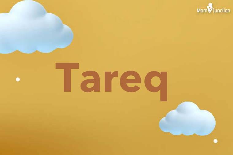 Tareq 3D Wallpaper