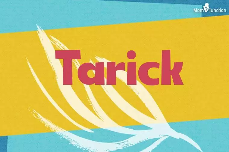 Tarick Stylish Wallpaper