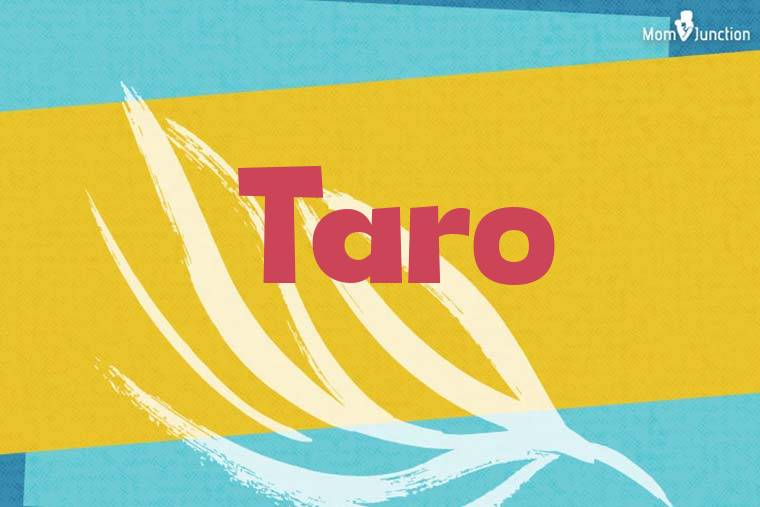 Taro Stylish Wallpaper