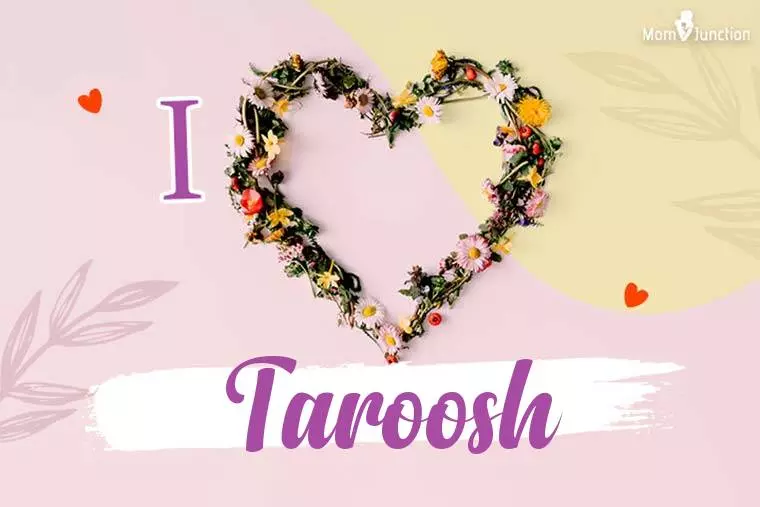 I Love Taroosh Wallpaper