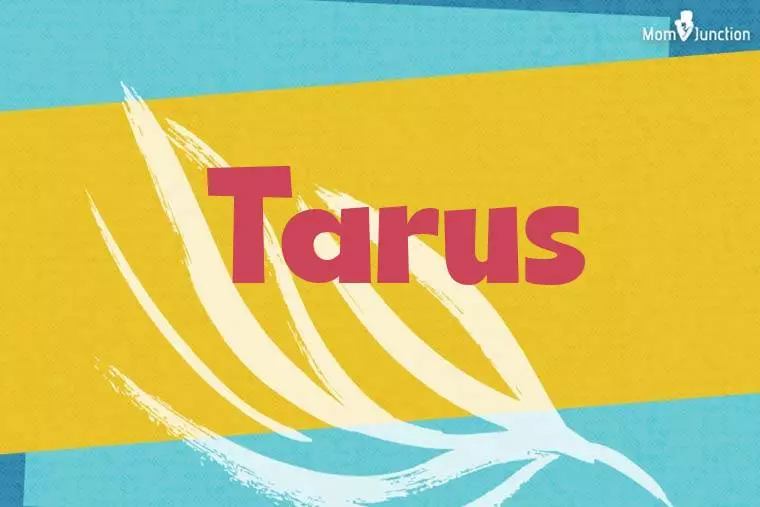 Tarus Stylish Wallpaper