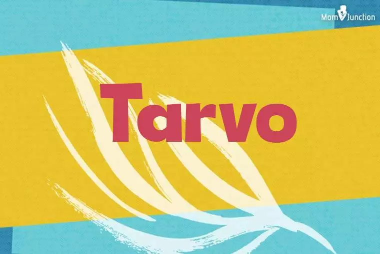 Tarvo Stylish Wallpaper