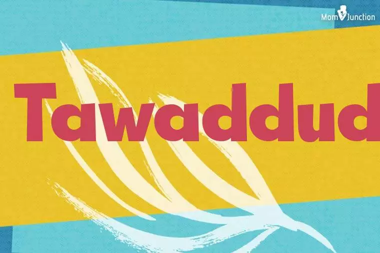 Tawaddud Stylish Wallpaper