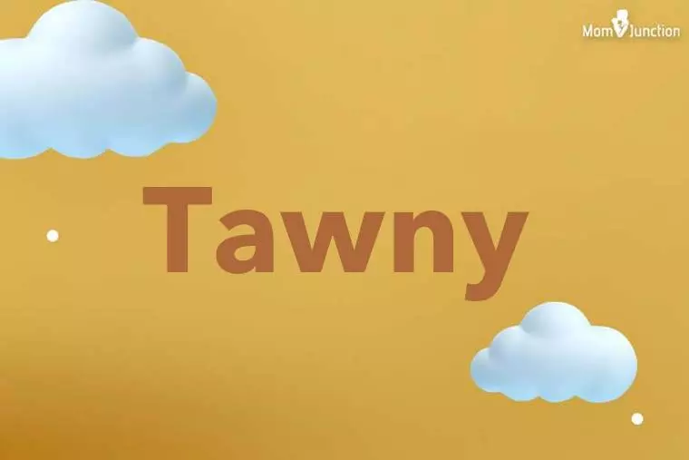 Tawny 3D Wallpaper