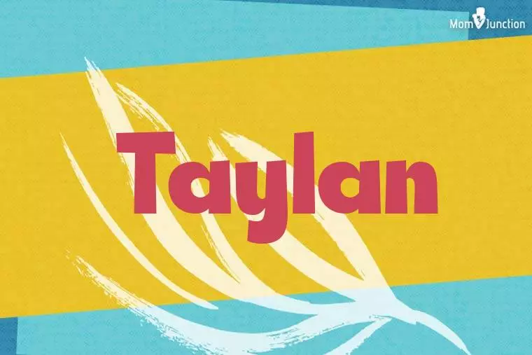 Taylan Stylish Wallpaper