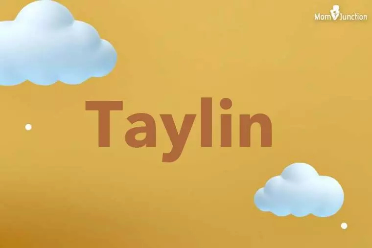 Taylin 3D Wallpaper