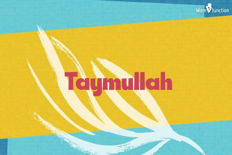 Taymullah Stylish Wallpaper
