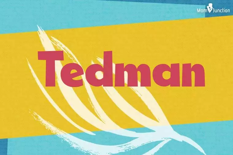 Tedman Stylish Wallpaper