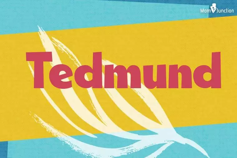 Tedmund Stylish Wallpaper