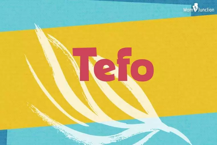 Tefo Stylish Wallpaper