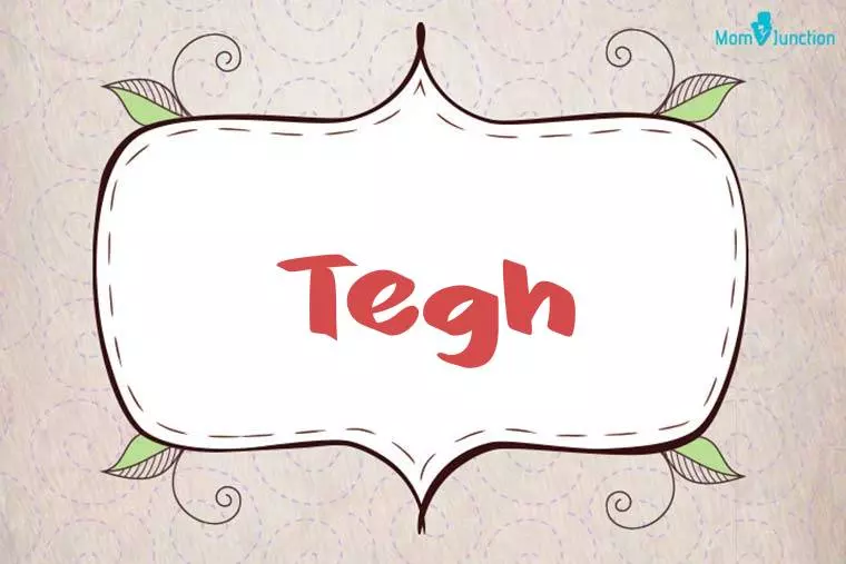 Tegh Stylish Wallpaper