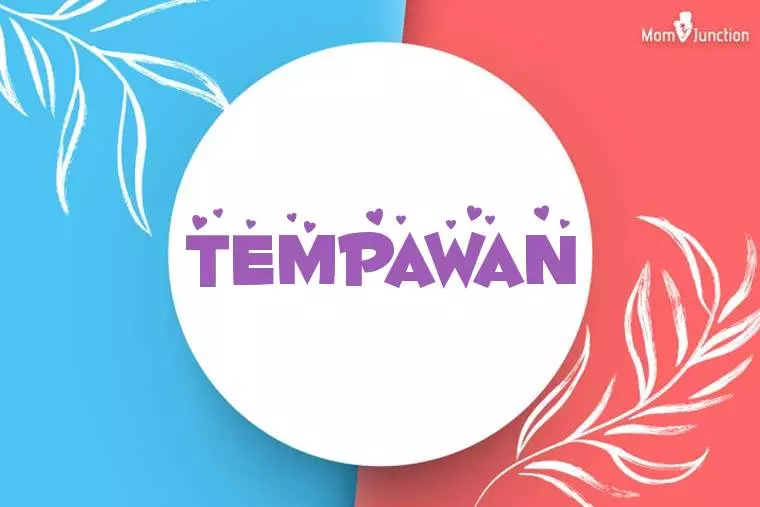 Tempawan Stylish Wallpaper