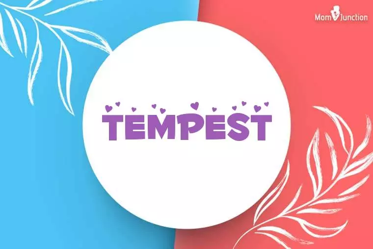 Tempest Stylish Wallpaper