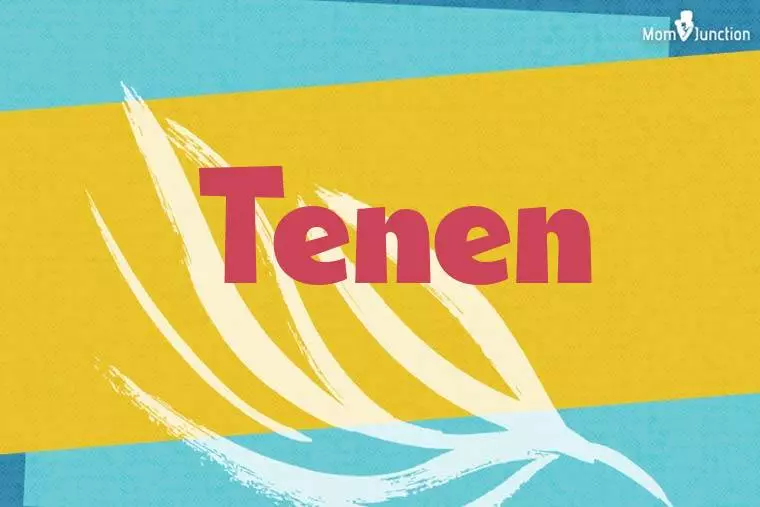 Tenen Stylish Wallpaper