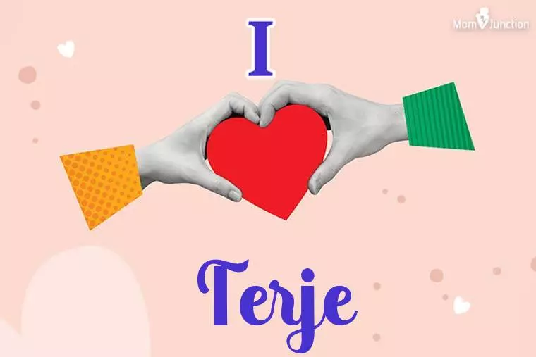 I Love Terje Wallpaper