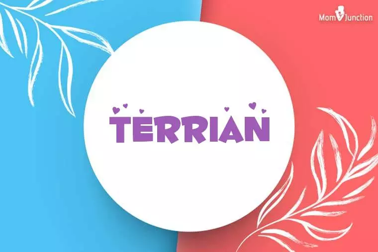 Terrian Stylish Wallpaper