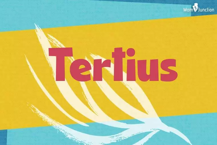 Tertius Stylish Wallpaper