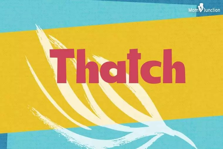 Thatch Stylish Wallpaper