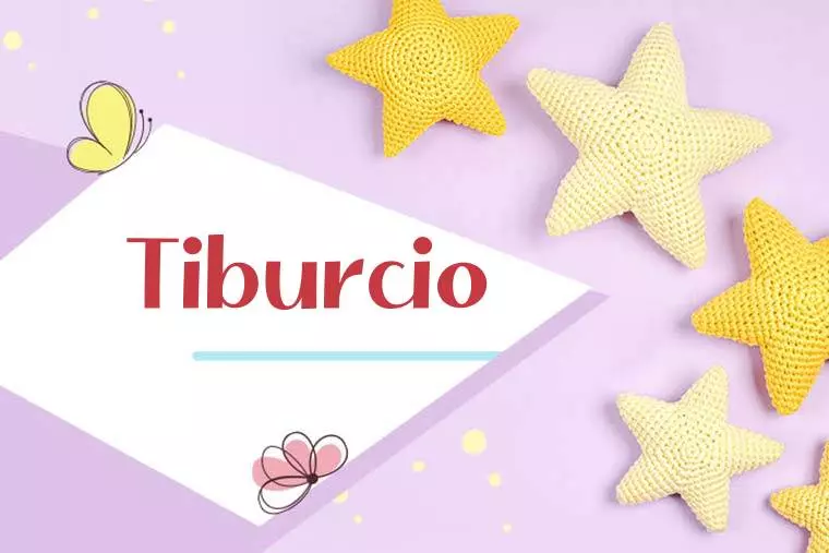 Tiburcio Stylish Wallpaper