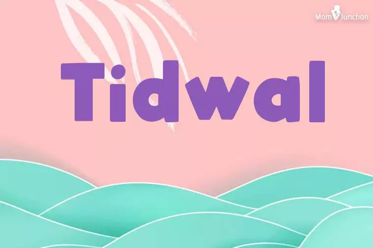 Tidwal Stylish Wallpaper