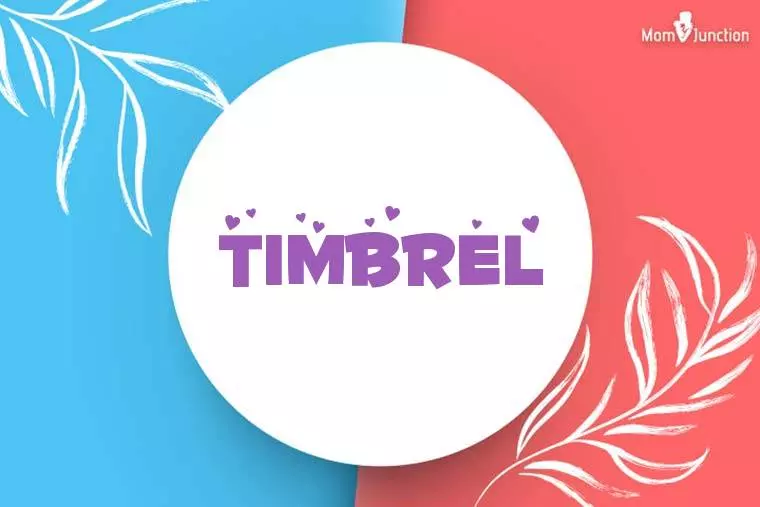 Timbrel Stylish Wallpaper