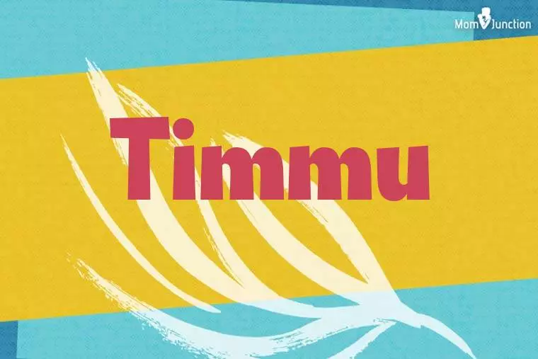 Timmu Stylish Wallpaper