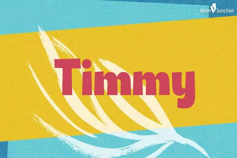 Timmy Stylish Wallpaper