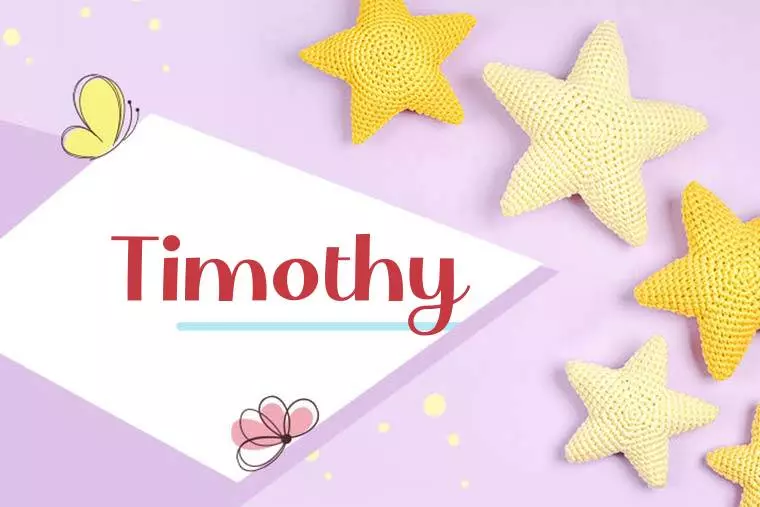 Timothy Stylish Wallpaper