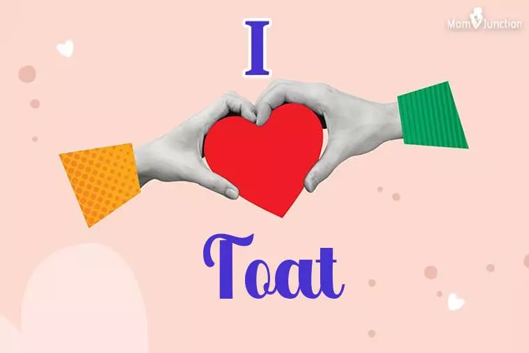 I Love Toat Wallpaper