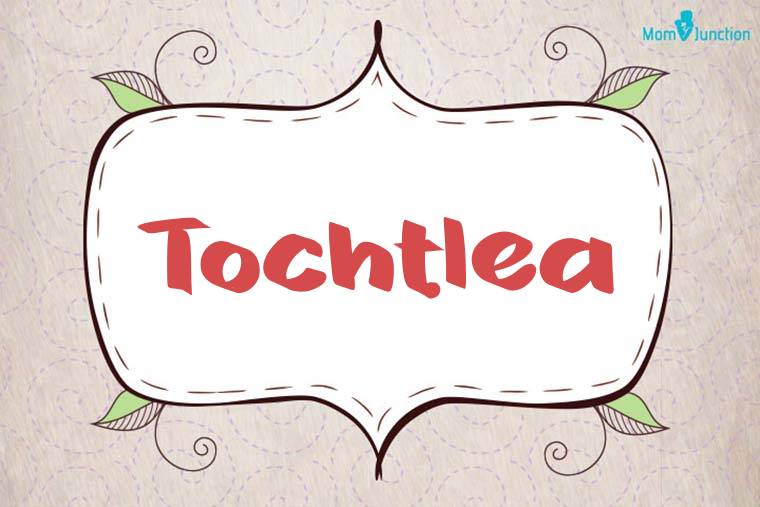 Tochtlea Stylish Wallpaper