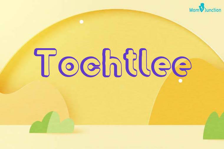 Tochtlee 3D Wallpaper