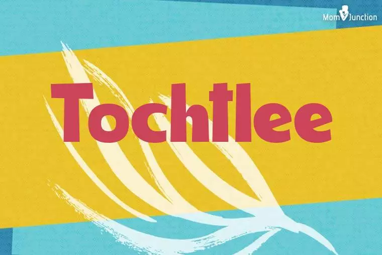 Tochtlee Stylish Wallpaper