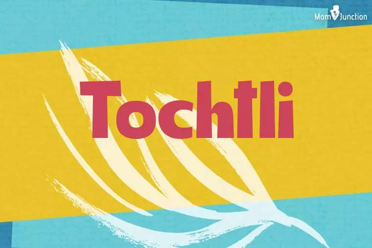 Tochtli Stylish Wallpaper