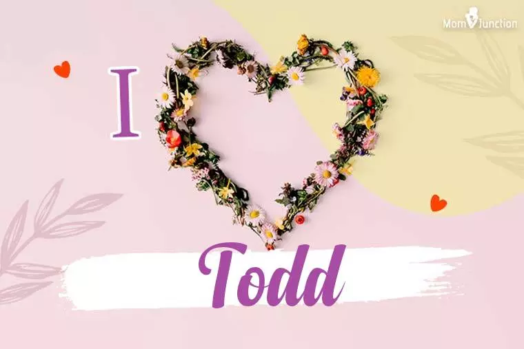 I Love Todd Wallpaper