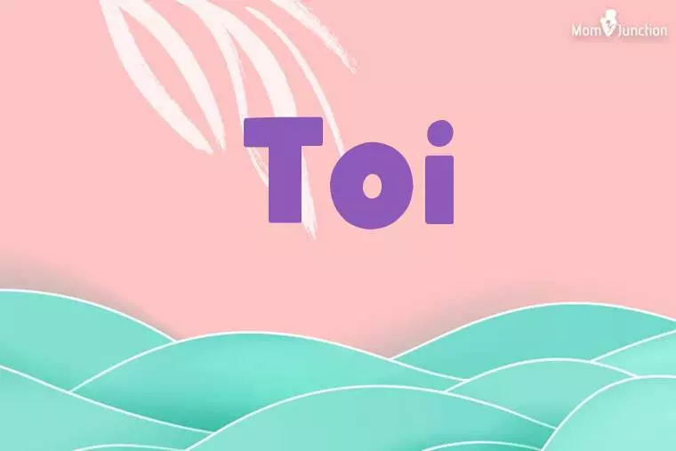 Toi Stylish Wallpaper