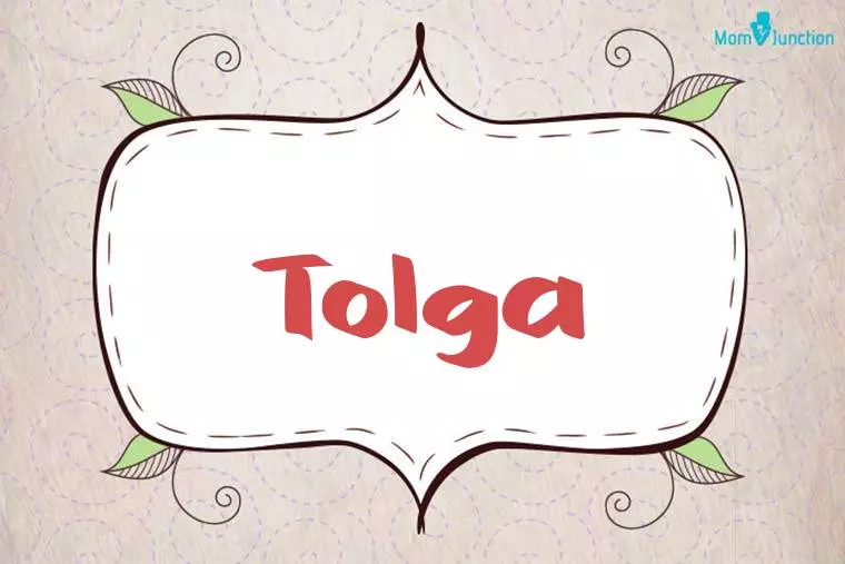 Tolga Stylish Wallpaper