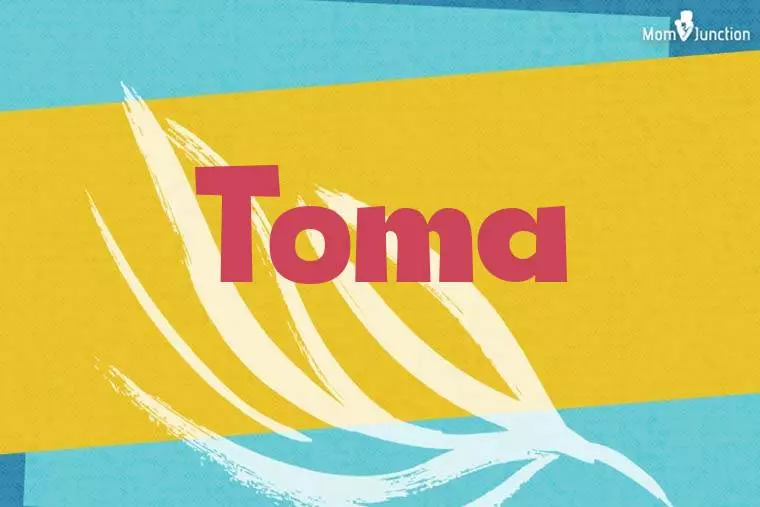 Toma Stylish Wallpaper