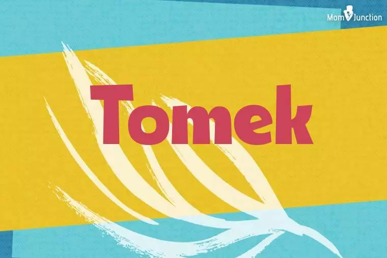 Tomek Stylish Wallpaper